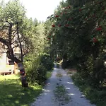 Im Wald 펜션