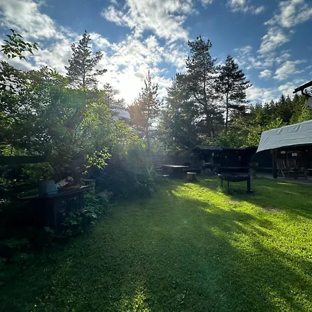 Im Wald Edelschrott