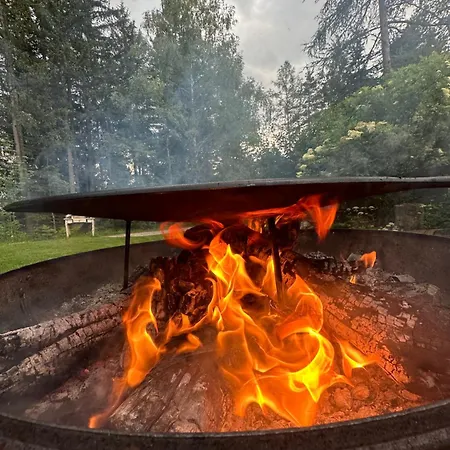 Im Wald * Edelschrott