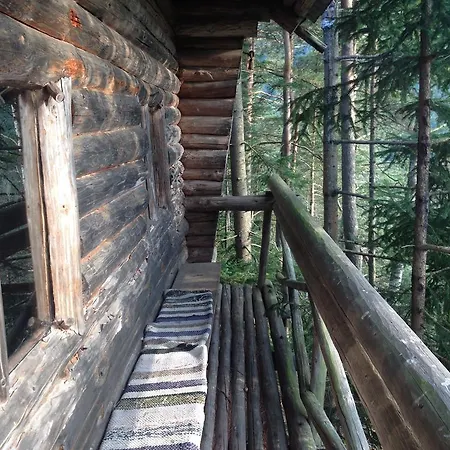 Im Wald * Edelschrott