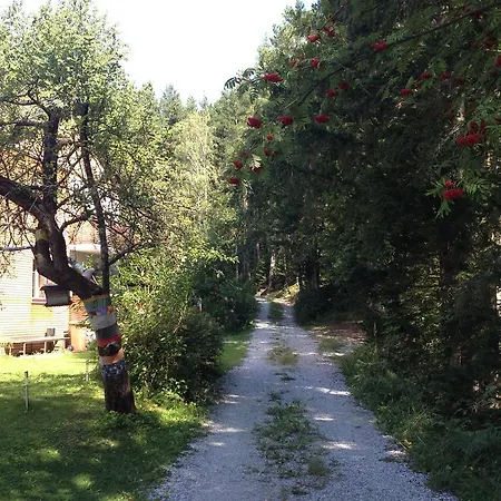 Im Wald Ferienhaus