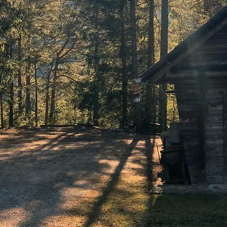 Im Wald Ferienhaus Edelschrott